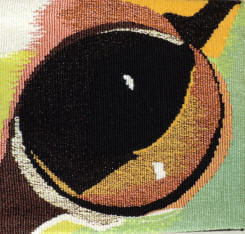 Frog eye 1 tapestry image