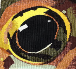 Frog eye 2 tapestry image