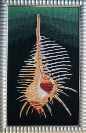 Venus shell tapestry image